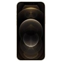 Apple iPhone 12 Pro